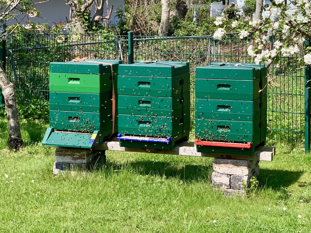 Bienenbeuten mit einem Honigraum